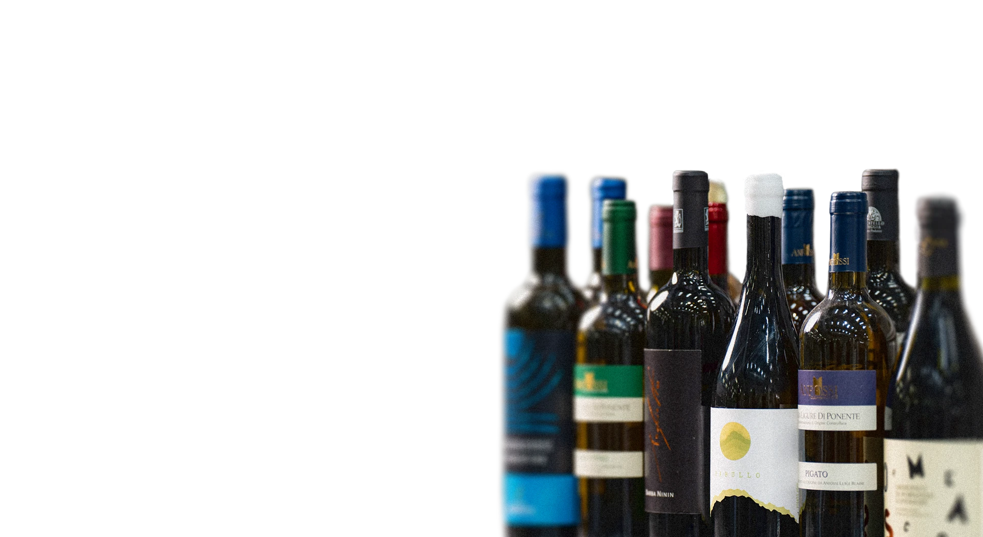 Bottiglie di vino con etichette stampate da Grafiche Amadeo